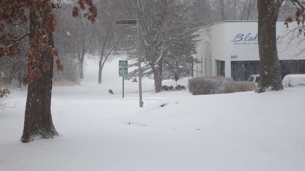 Snowy Minnetonka Trail by tensor08