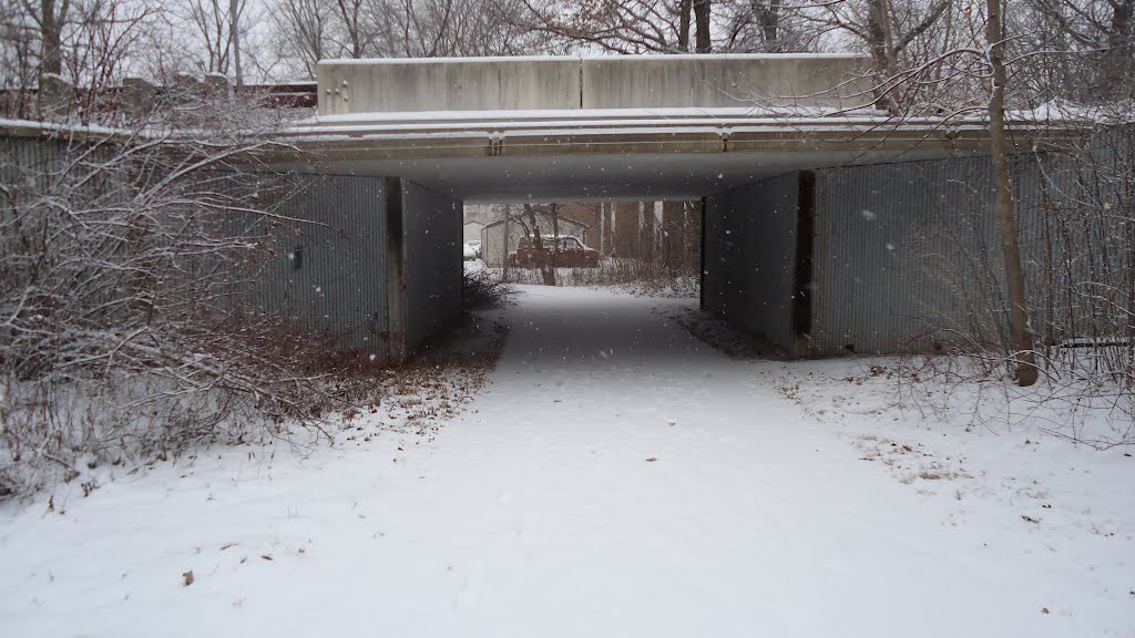 Bridge Over Trail by tensor08