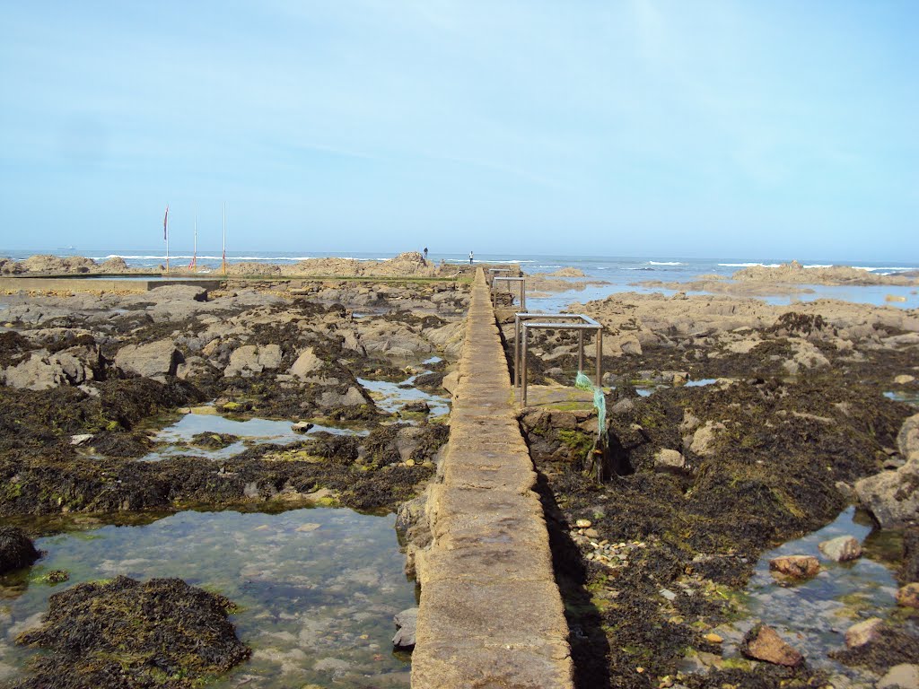 Viana do Castelo - Passeio para piscina natural by Abel M. Queirós