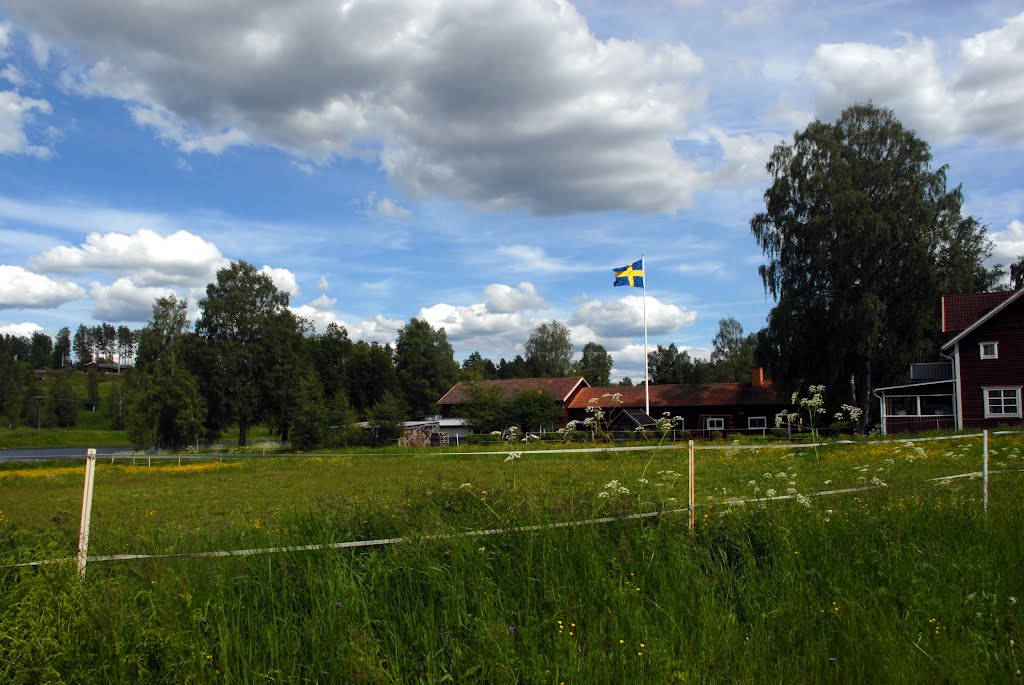 Next to the Gagnef Flottbron, Sverige by Amanda Wood