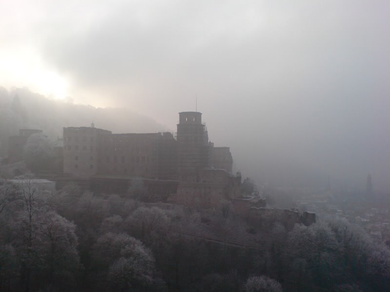 Heidelberg Castle by Daniel Shanks