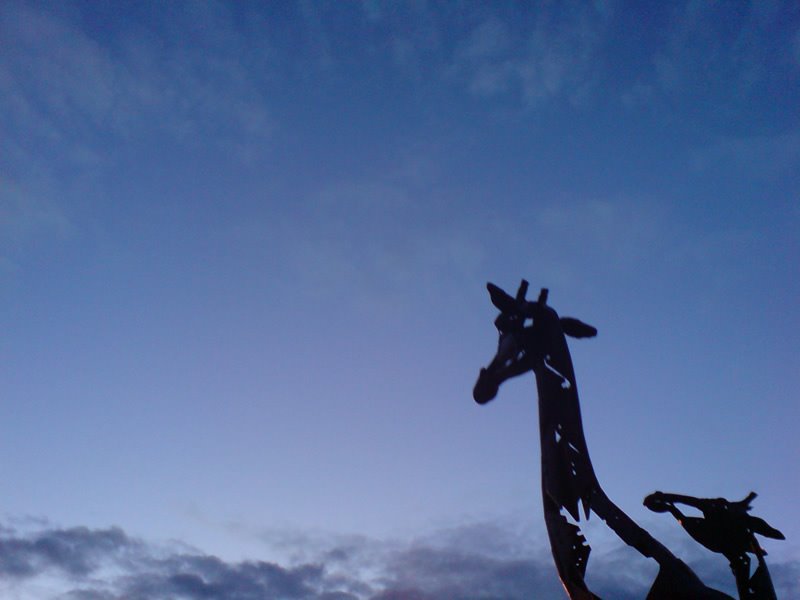 Edinburgh Wildlife by Daniel Shanks