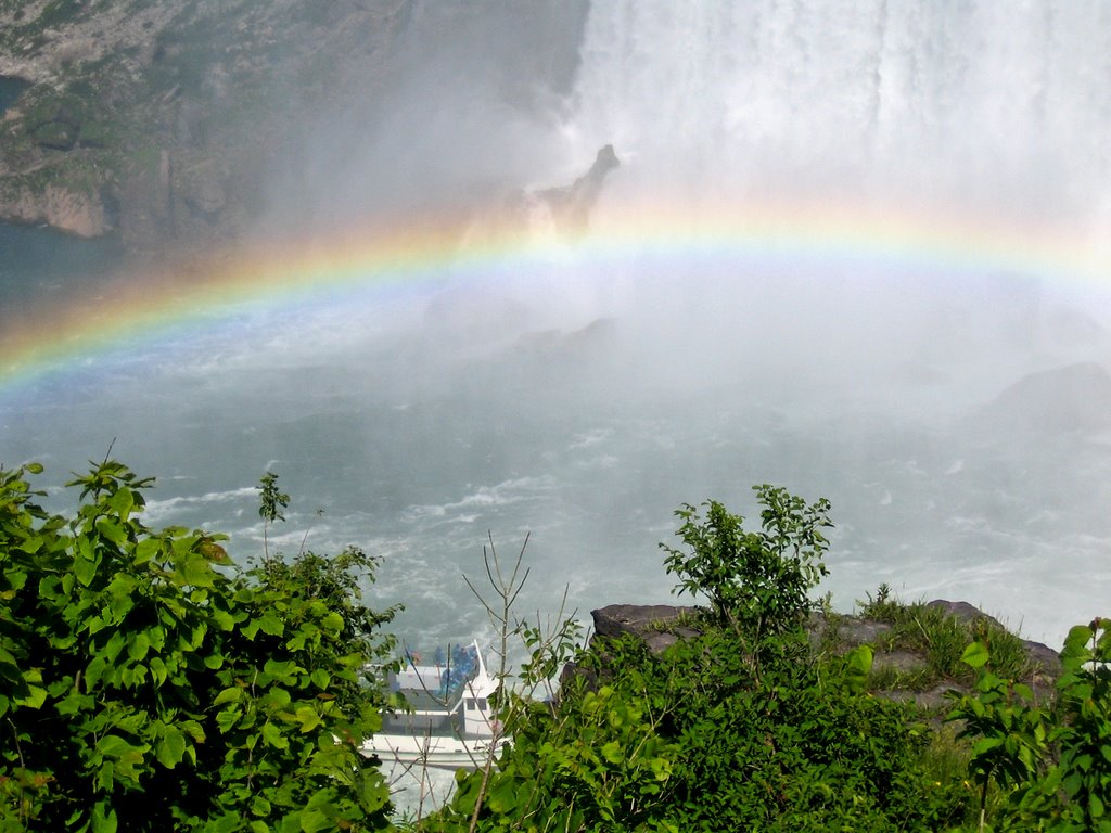 Rainbow under the Horseshoe Falls by Nikbrovnik