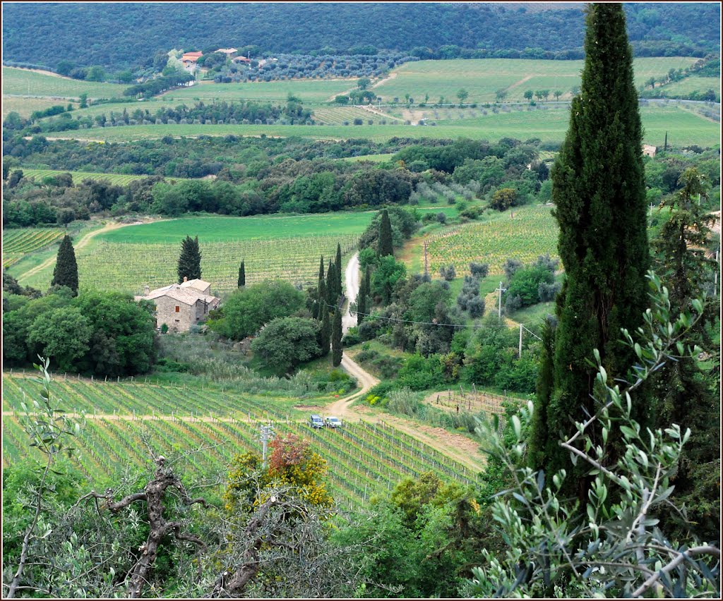 View on the land from Sant'Angelo in Colle by Lana Kuznetsova