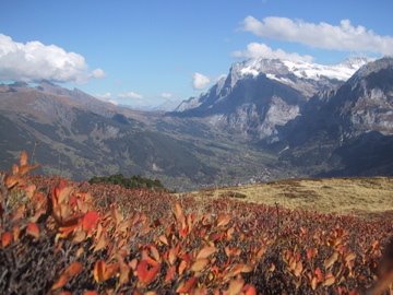 Grindelwald in Fall 2006 by raechu