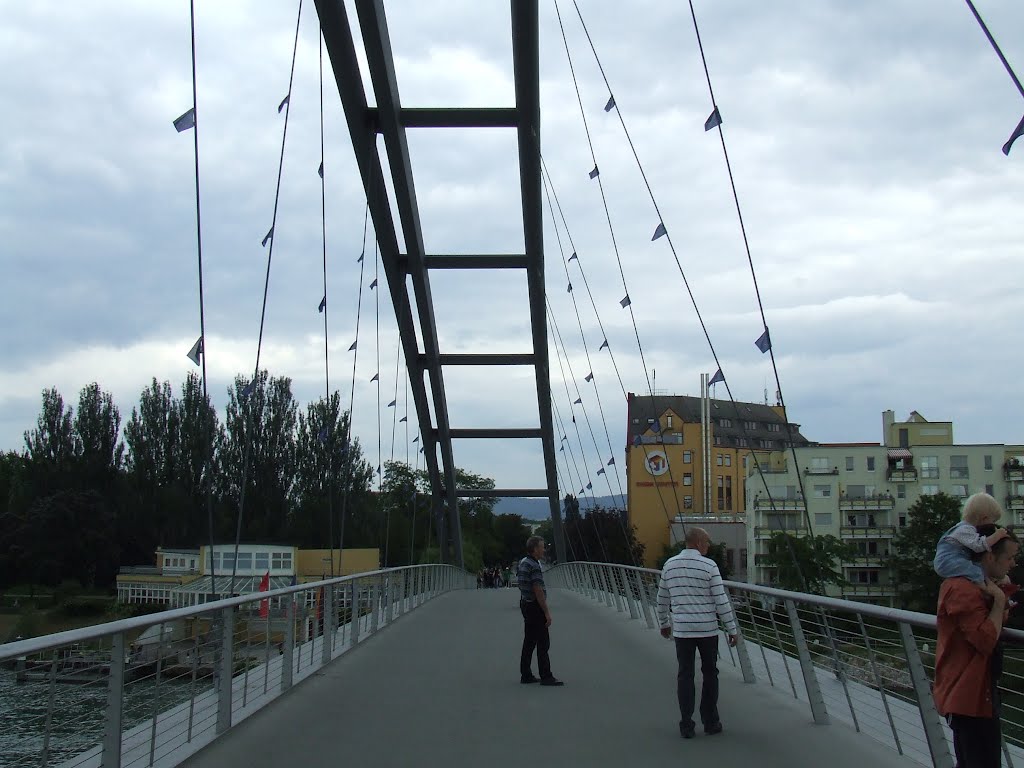 Bridge - Deutschland-France by mladenipBG