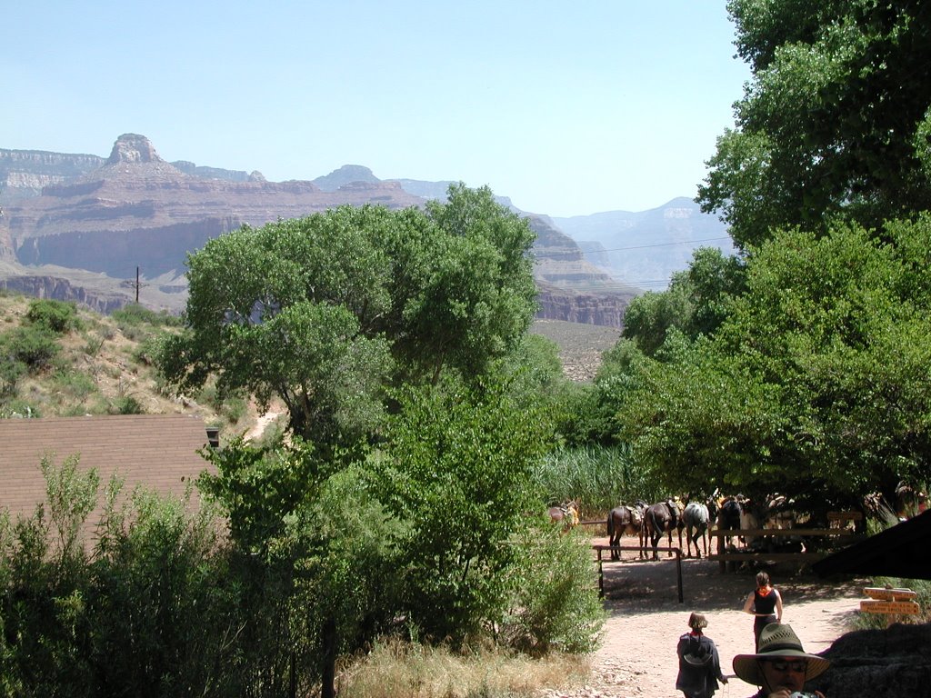 Indian Garden at Grand Canyon (7/05) by TerryBond