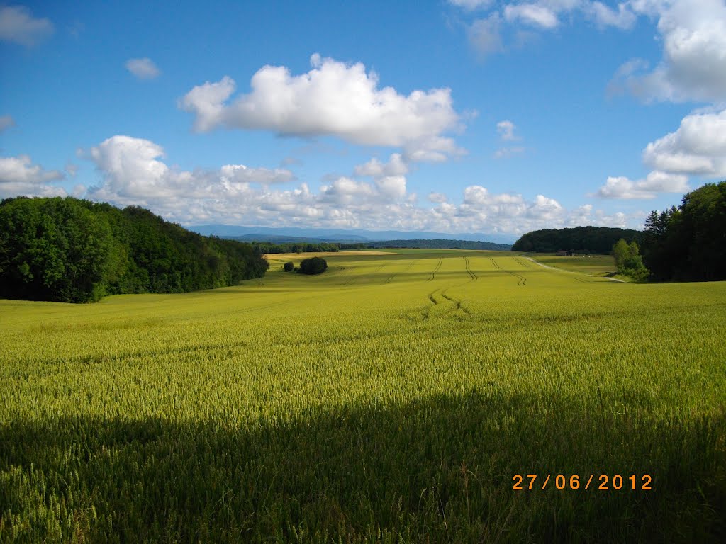 Vue Nord des champs Paradis et des Ballons des Vosges by Claudius B.