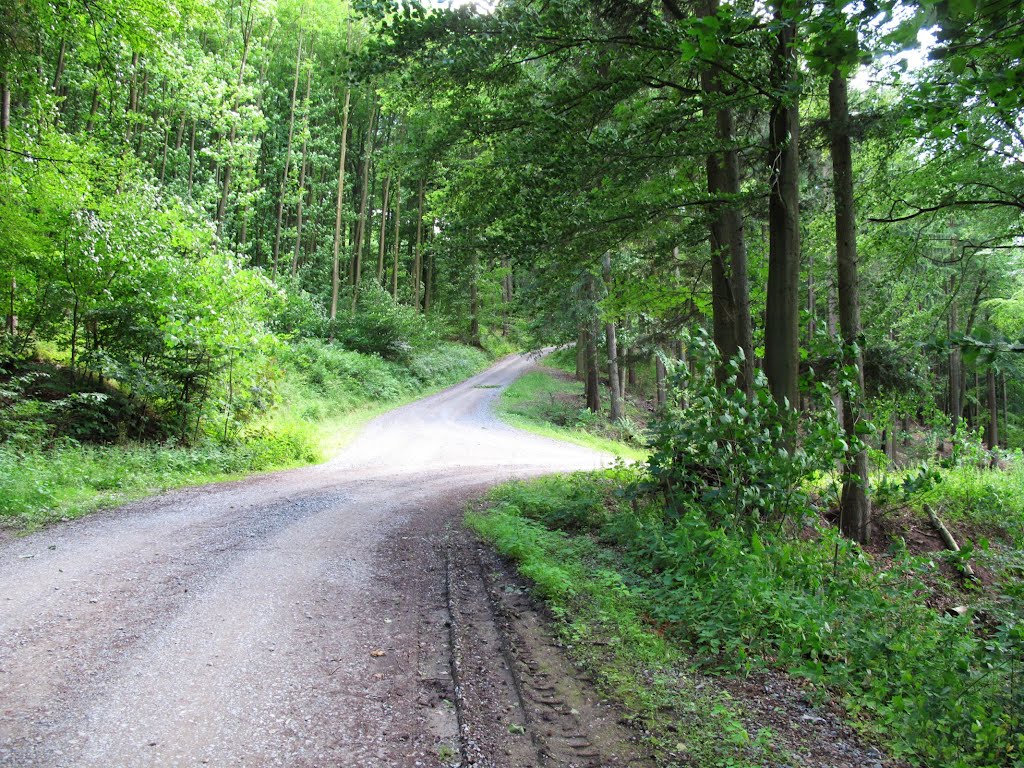 Weggabelung Spartakusweg (kommt aus dem Tal und biegt nach rechts ab) - Langer Weg (Standort) by lebola