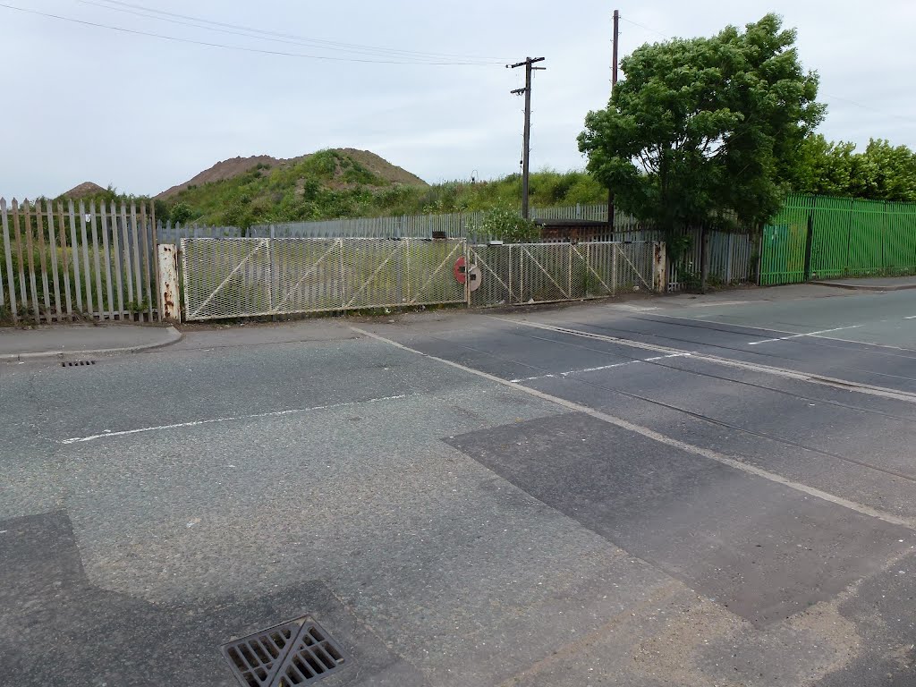 Disused Level Crossing. by Peter Hodge