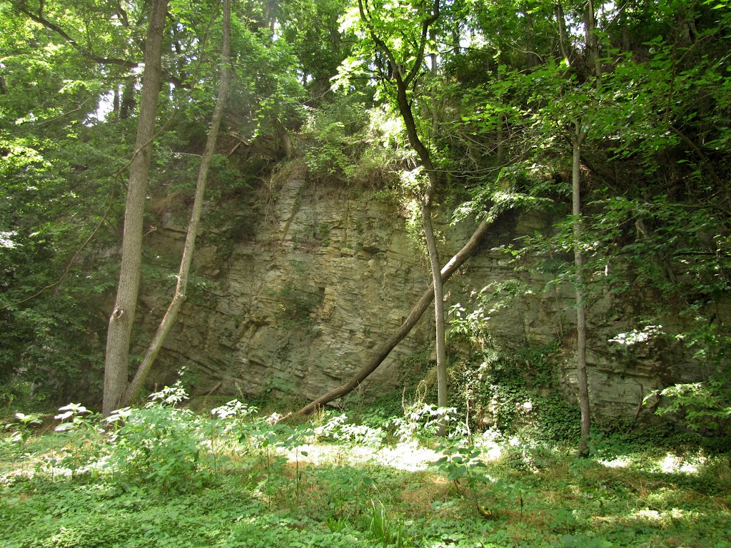 Creek Road Rock Face by Chris Sanfino