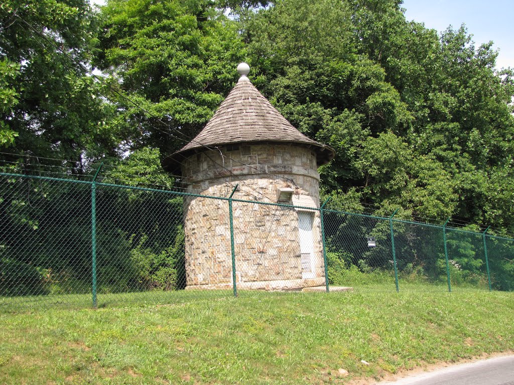 Mount Pleasant Road Water Tower by Chris Sanfino