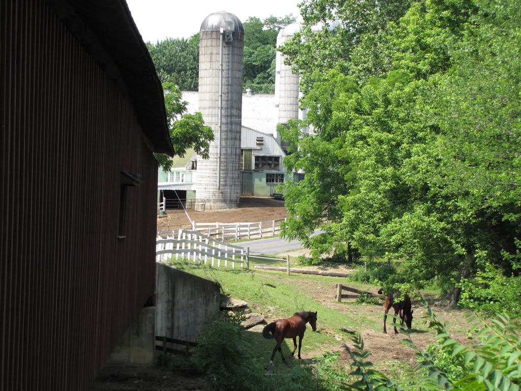 Jacksons Sawmill Farm by Chris Sanfino