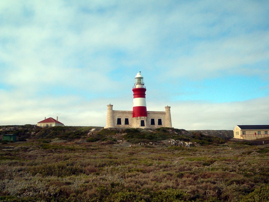 Cape L'Aguilhas Lighthouse by Ian Miller