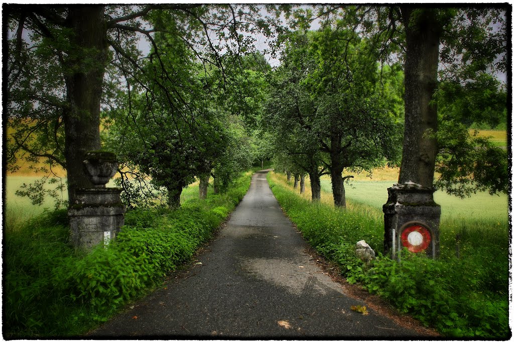 Gateway near Solothurn by Tom Waugh