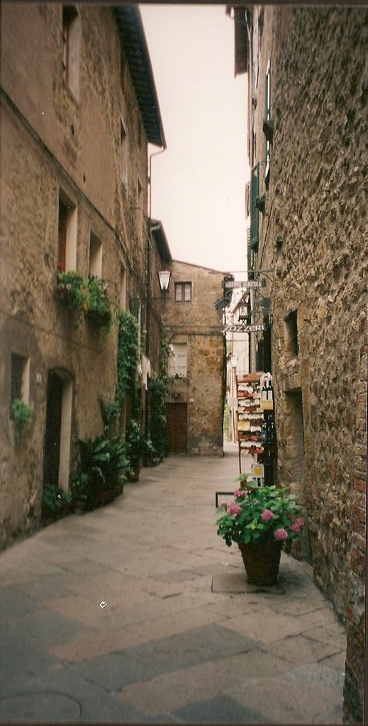 Pienza by plumettina