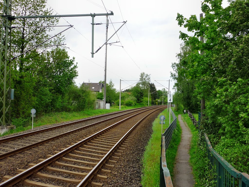 An der Bahnstrecke Wuppertal-Vohwinkel–Essen-Überruhr (Wuppertal-Tesche) / 8.05.2012 by Iceman93 / NO VIEWS!!!