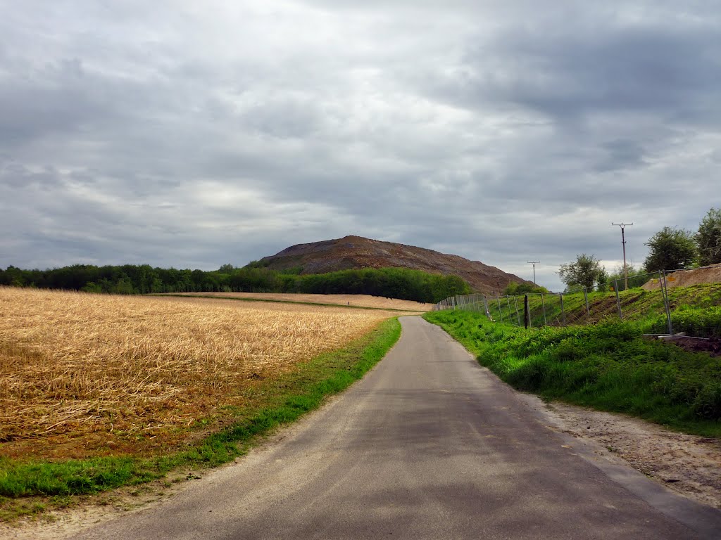 Am Sandfeld (Wuppertal-Hahnenfurth) / 8.05.2012 by Iceman93 / NO VIEWS!!!