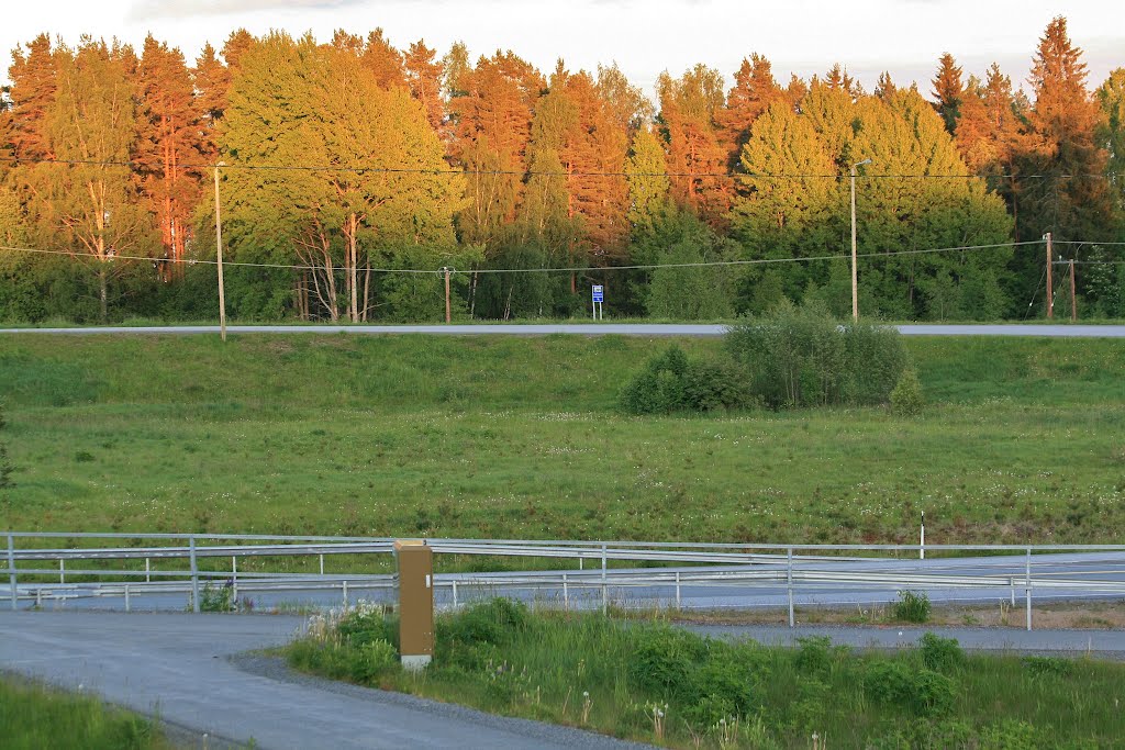 Summer sunshine in the evening (Enlarge!) by Markus Nikkilä Photoshooter86