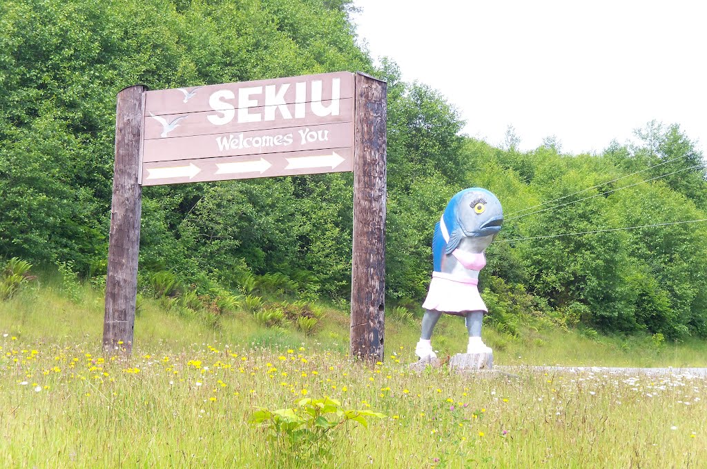 Sekiu, Washington by chetross68