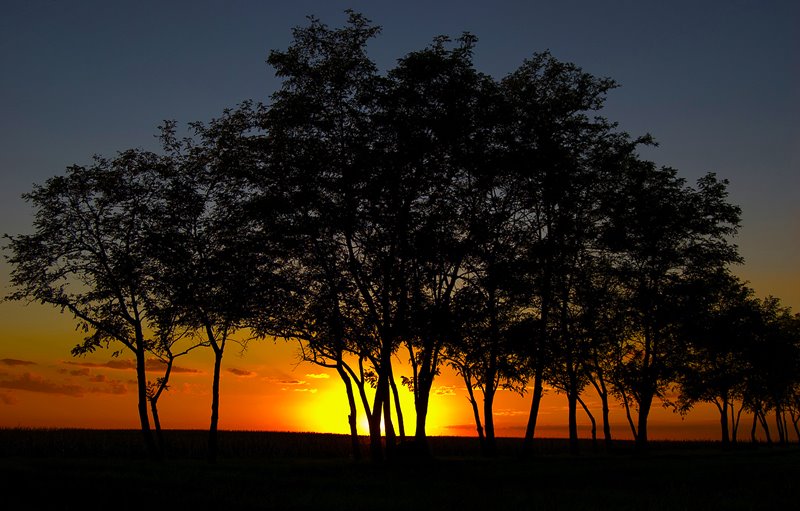 Sunset near Békésszentandrás by Párizs Szabolcs