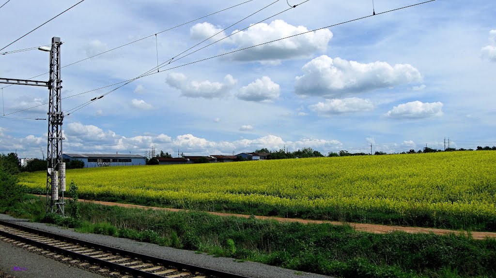 Plzeň-Zadní Skvrňany by meco1954