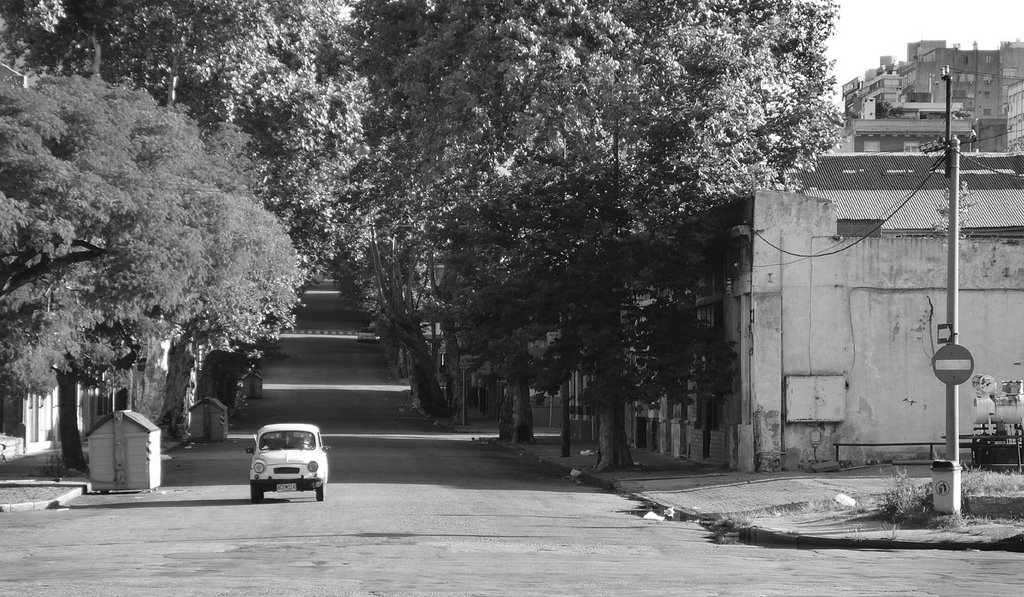 Fiat seiscento - uma rua qualquer de Montevideo by andre paiva