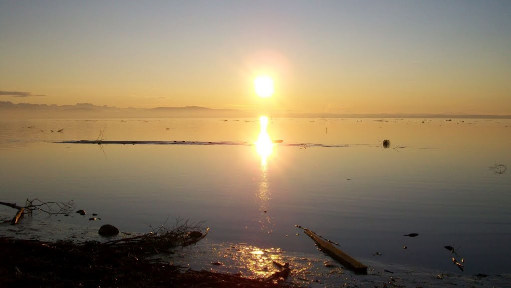 Naturschutzgebiet Eriskircher Ried / Bodensee by Dachsbracke