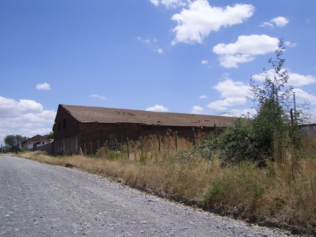 Acceso a Rucapequén by Omar O. Acuña