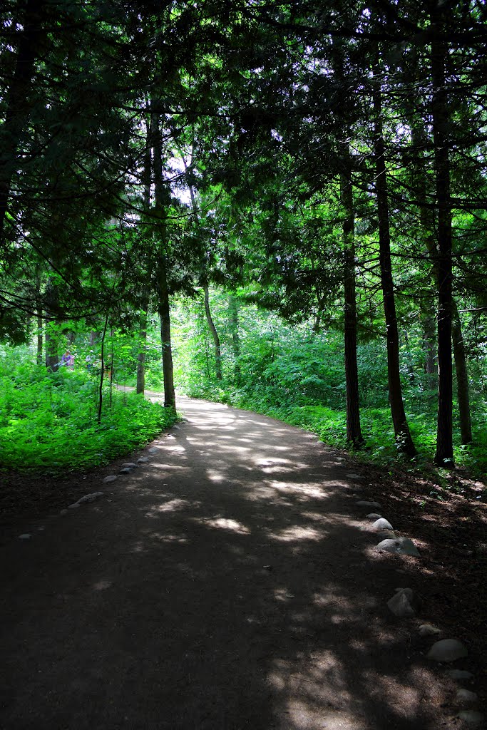 Itasca State Park by panjmax36