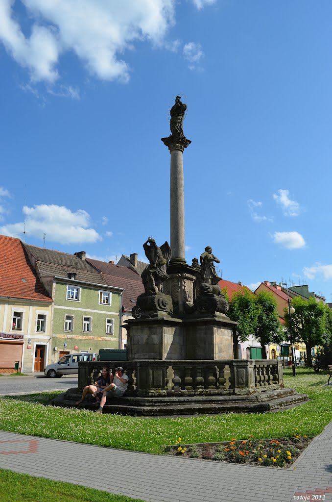 MIEDZYLESIE - PL - Mariánský sloup na náměstí Wolnošci / Marian column in the square Wolnosci by votoja - CZ