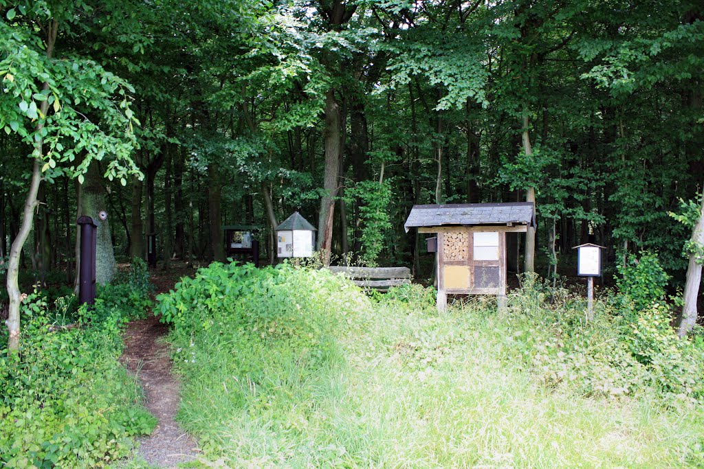 Naturlehrpfad in Hundsangen by oller rainer