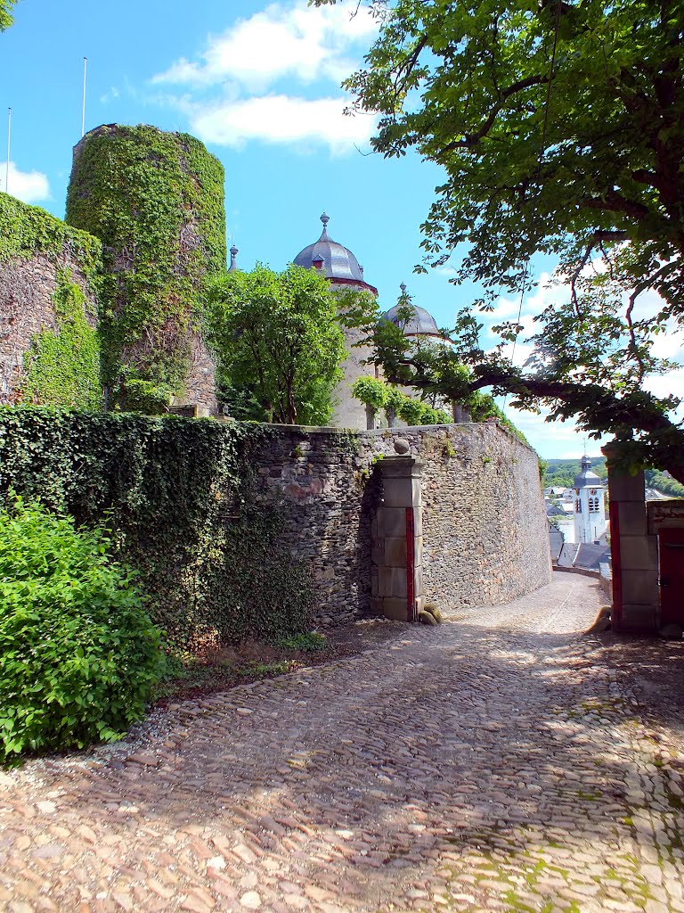 Schloss Gemünden / Hunsrück by trexico69