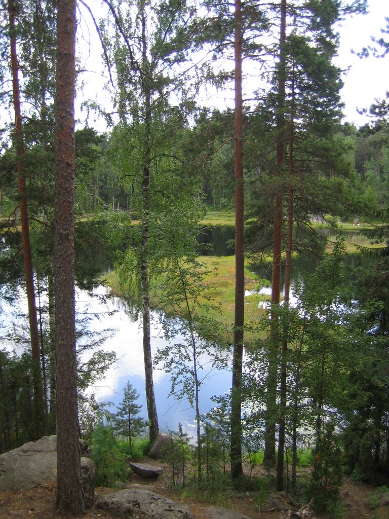 Nuuksio, a little lake by jeppe