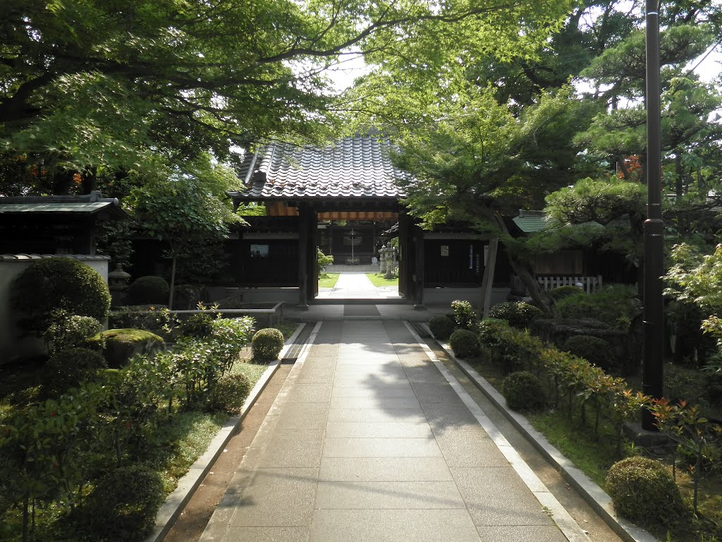 西明寺　Saimeiji temple by nkmroioikkkz