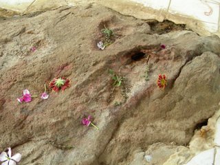 Krsna`s Lotus Footprint by Vilasa-manjari devi …