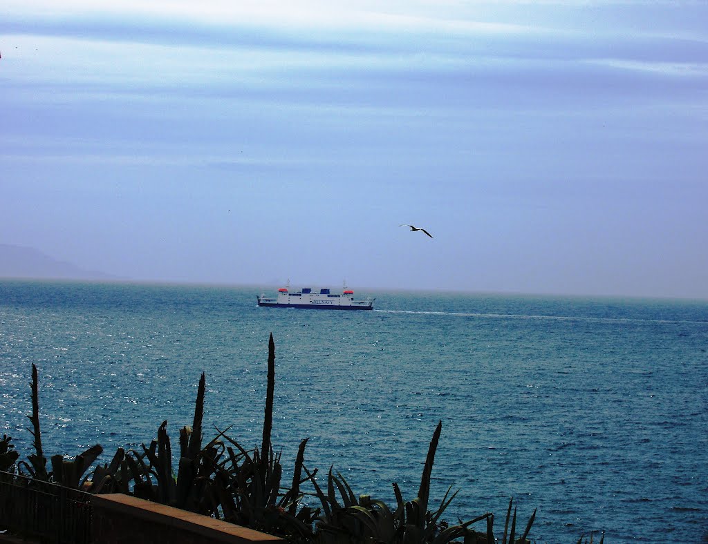 Panorama Piombino by armafor