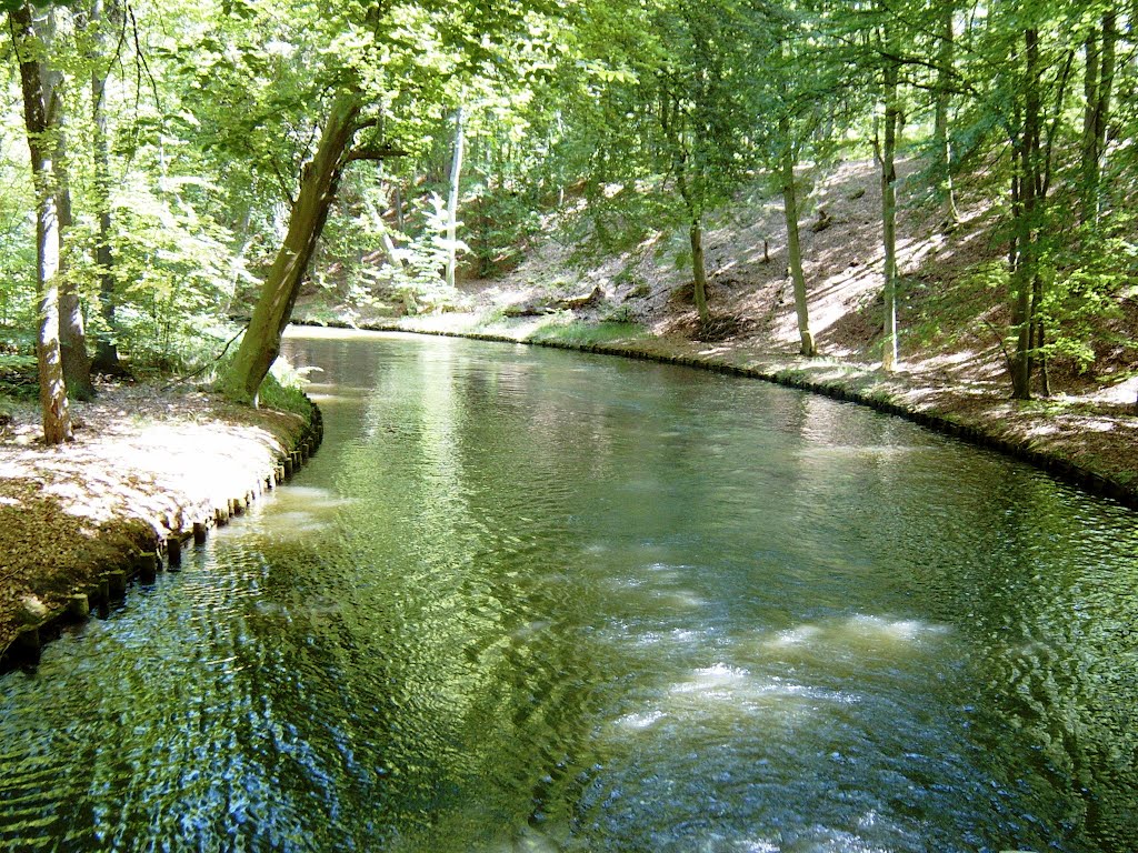 Feldberger Seenlandschaft -Am schmalen Luzin - Kanal by Klaus Bechmann