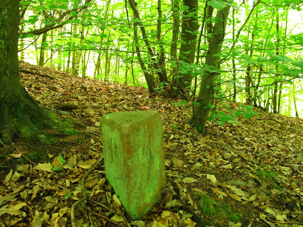 Dreimärker beim Stundenstein im Großen Wald - Die Gabelung des Viehwegs nach Rauenberg und Ebenheid by lebola