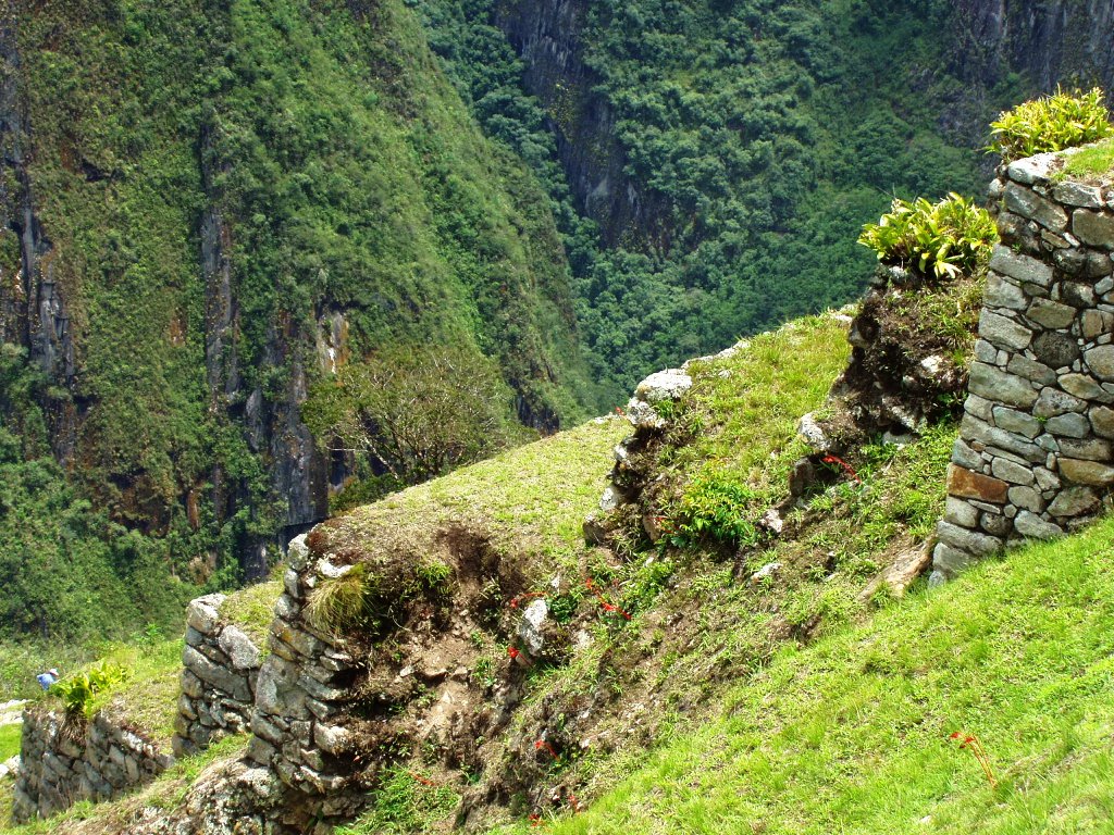 Machu Picchu 07 by jgrabo