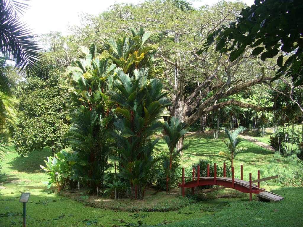 Jardin botanico by Gabriel D'Attili