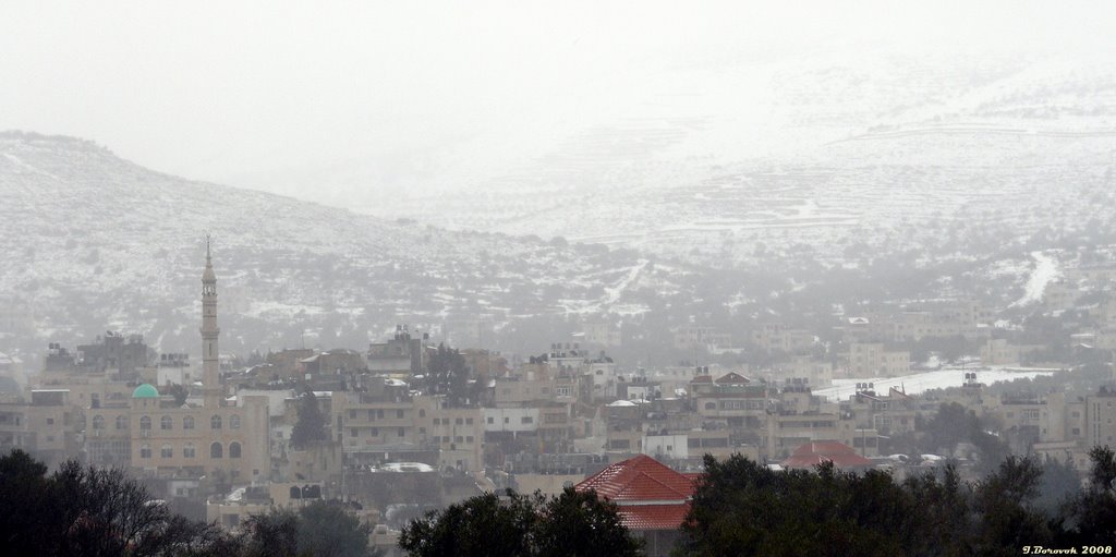 Snow in Turmus-Ayya, Samaria (30-JAN-08) #1 by Ilya Borovok