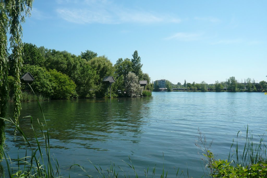 Parc Jean Drapeau by njellis