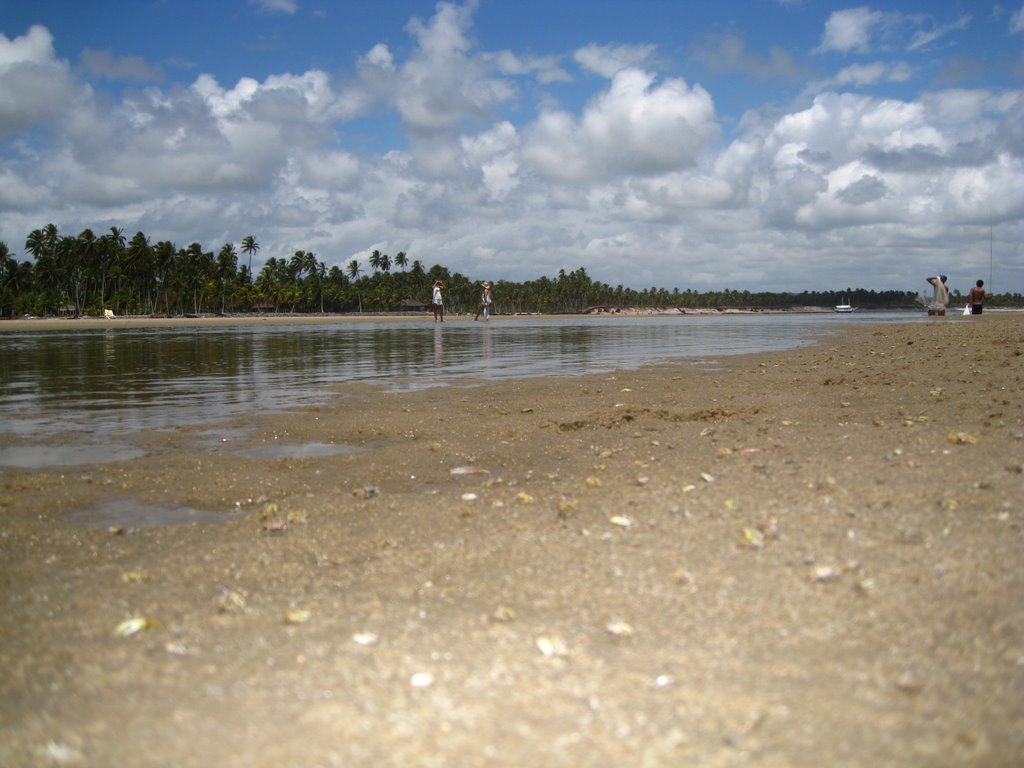 Caminho repleto de chamas-marés na Praia de Barra Nova, Maceió-AL. by IgorSantos