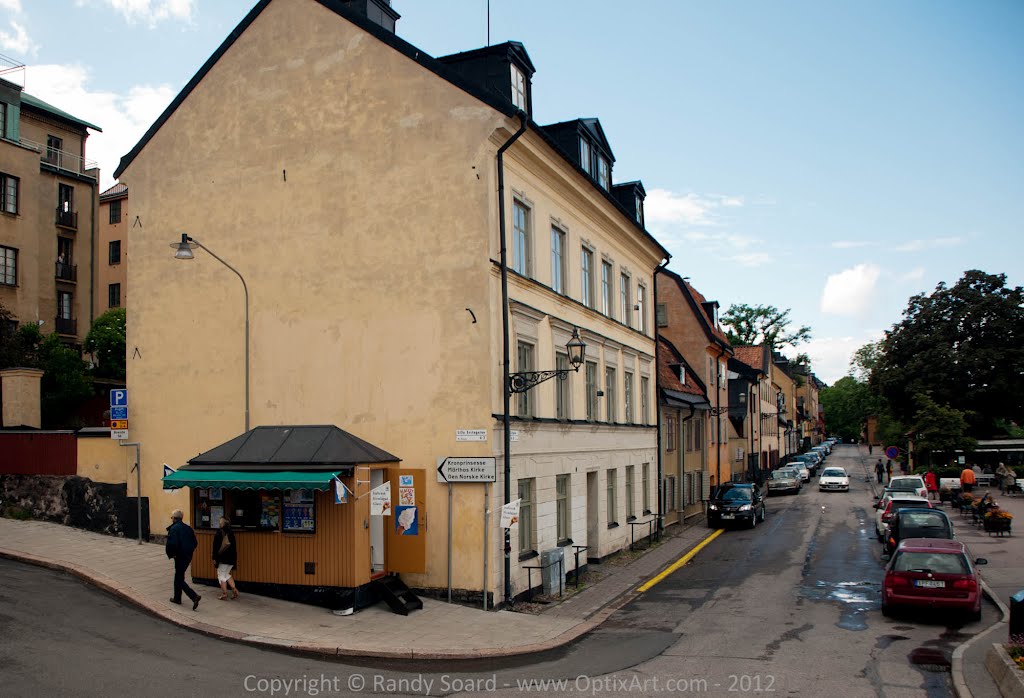 Ersta Sköndal University College, Fjällgatan 45, 167 32 Stockholm, Sweden by Randy Soard