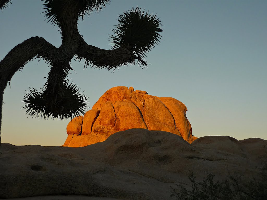 Sunrise Hidden Valley Campground by dorothee