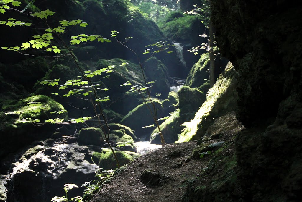 The Tiefensteinklamm in the near from Schleedorf by Andrea-Patrizia Bauchinger