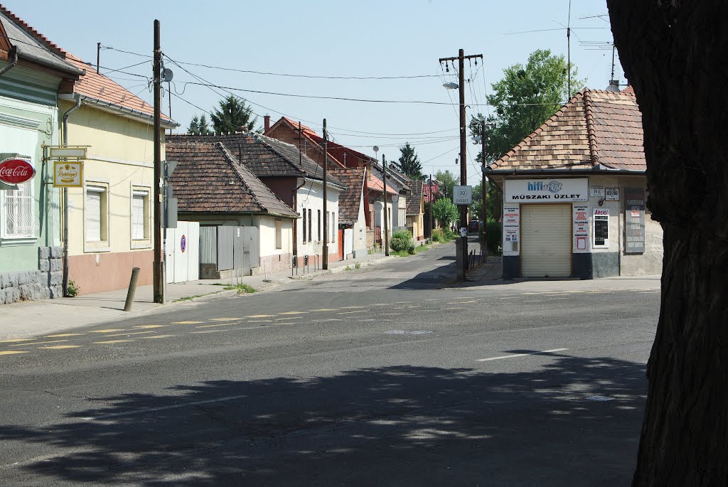 Rákospalota utcakép streetview 2012/07/01 by hatja-budapest