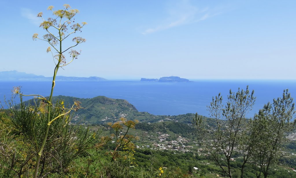 Capri... (seen from Ischia) by Birgit F.