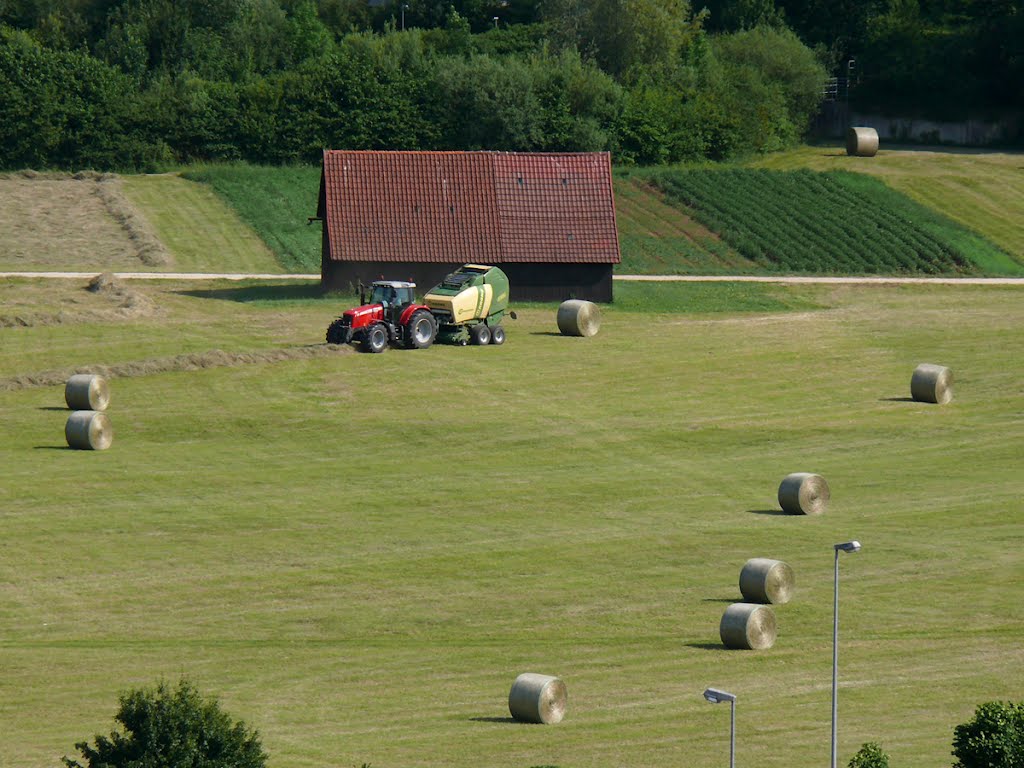 Heuernte im Neckartal by Roland Appl